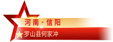 河南·信阳 罗山县何家冲
